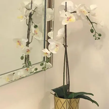 Apartmán Glamour Tapolca